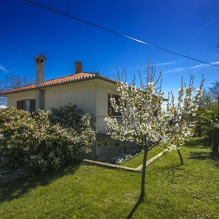 Leni Apartmán Vinež